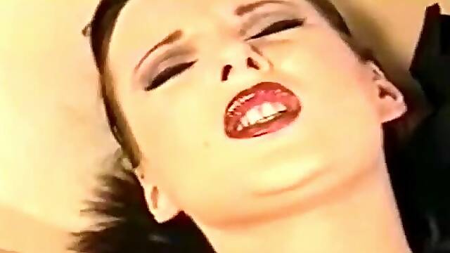 That Darn Trannie Collection