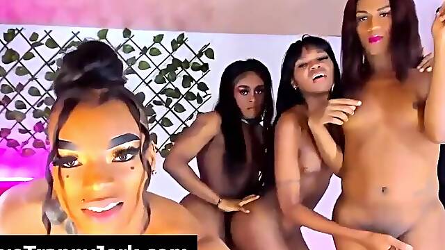 Foursome tgirl johnson jacking nicely