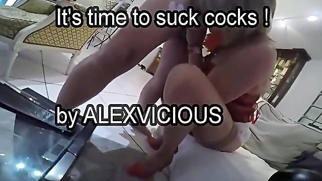 Two Matures Shemales Suck