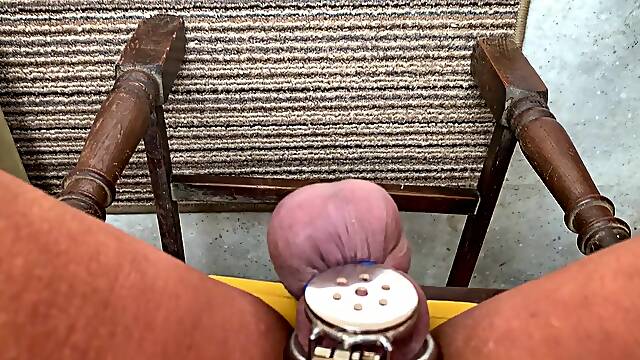 Sit and see the world go by as your castration banded balls wither away piggy cutie Scarlett ebony