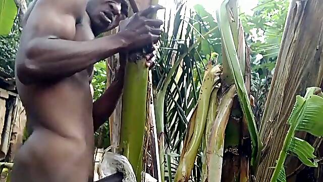Fellow all alone In the forest and make the plantain tree is wifey and Fuck on it