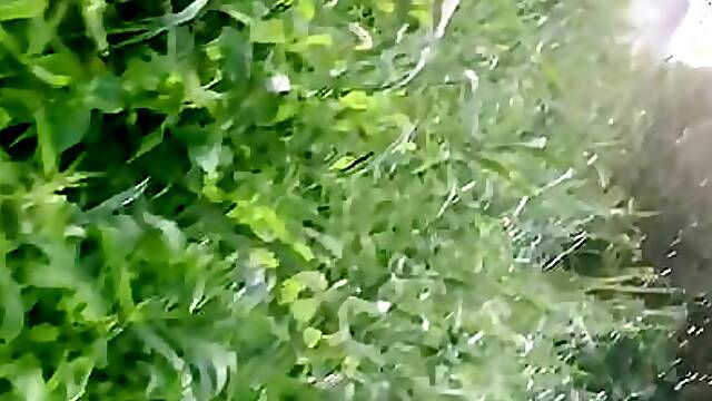 Wetlook adventure part 2_2. Crossing river in shorts and tshirt and going thru big grass field...