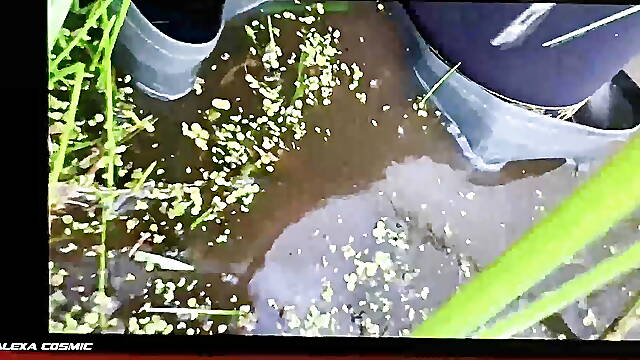 Wetlook adventure at swamp lake wearing hunter boots black leggings and sport dress.