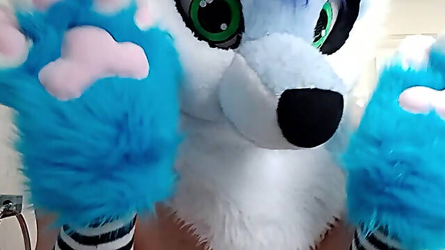 Furry femboy does a quick pee video UwU