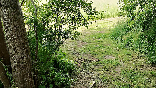 Sex in the forest. I love that.