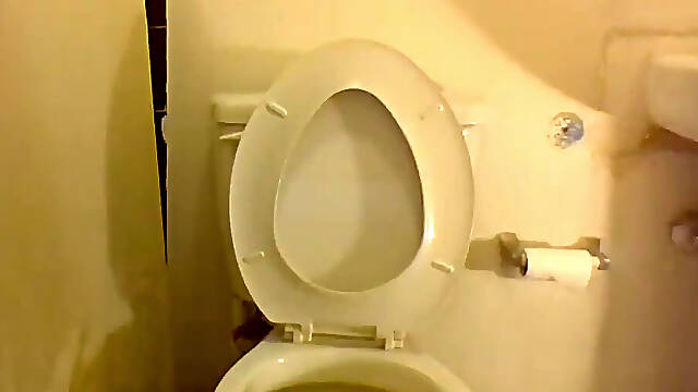 Squatting and Peeing on My Toilet Seat